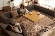 سنت قدیمی خانه‌های ایرانی، دستور کار ژاپن