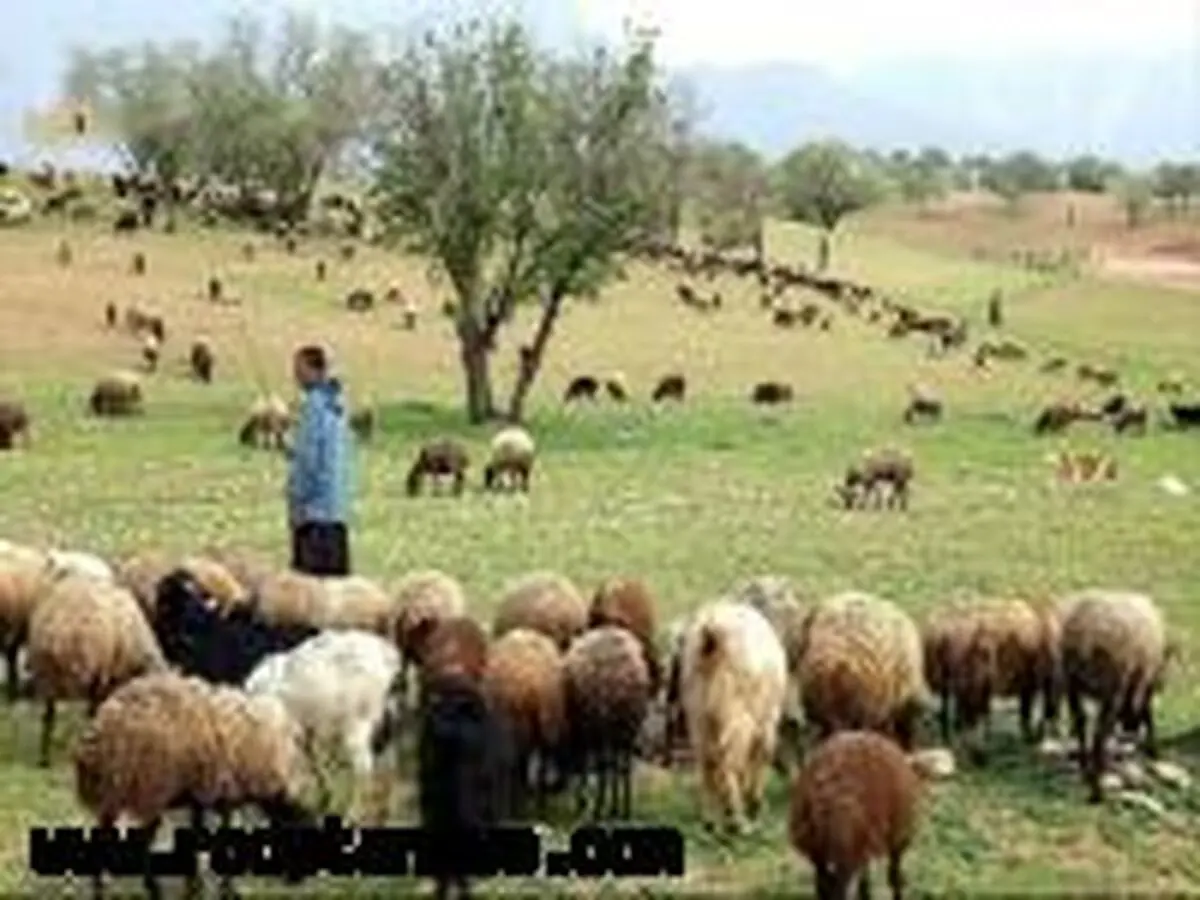 حفر چاه‌های اضطراری عشایری در شهرستان‌های عشایرنشین اصفهان