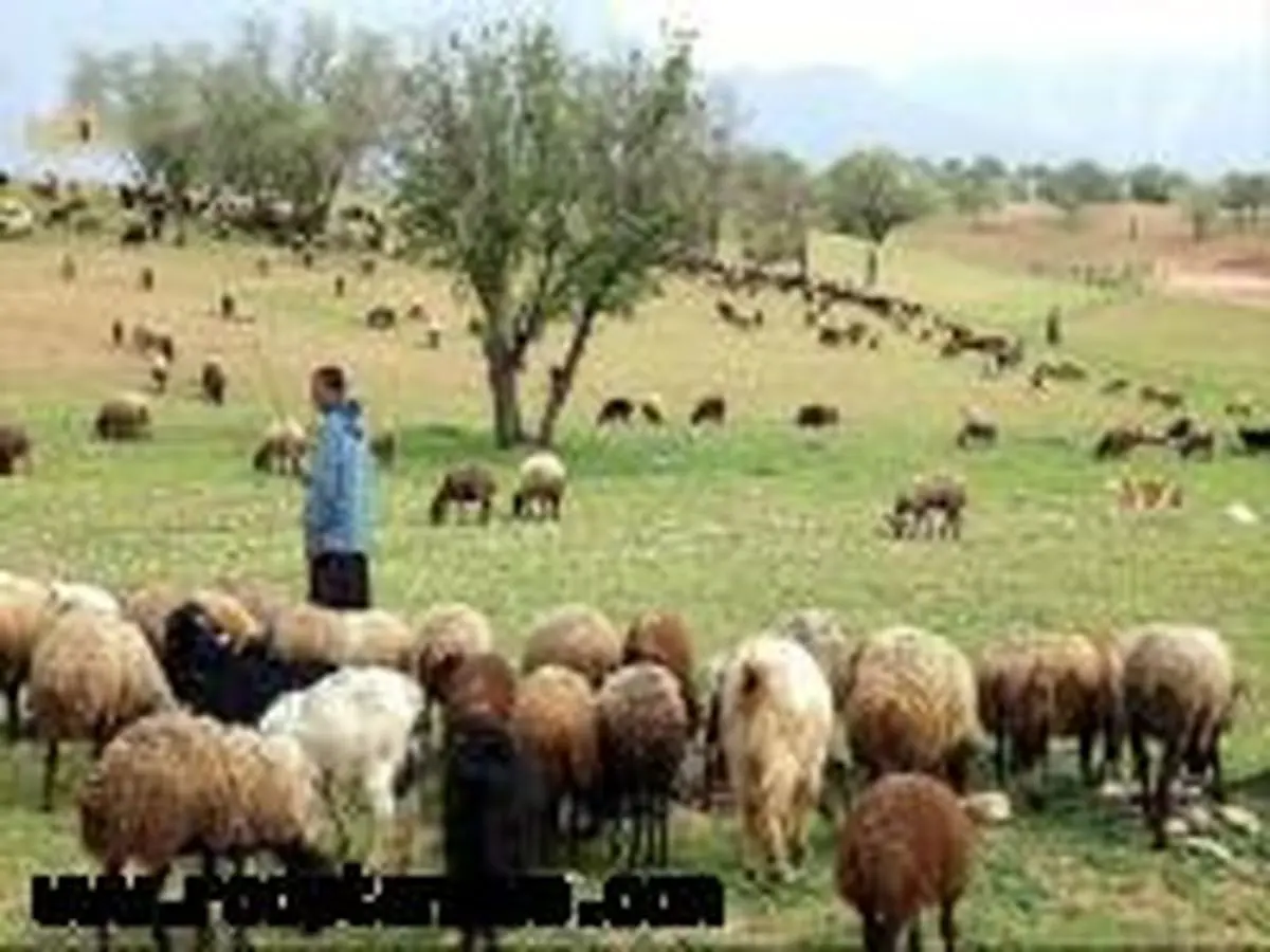 حفر چاههای اضطراری عشایری در شهرستانهای عشایرنشین اصفهان