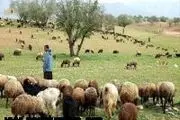 حفر چاه‌های اضطراری عشایری در شهرستان‌های عشایرنشین اصفهان