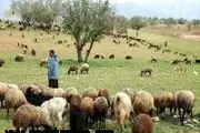 حفر چاه‌های اضطراری عشایری در شهرستان‌های عشایرنشین اصفهان