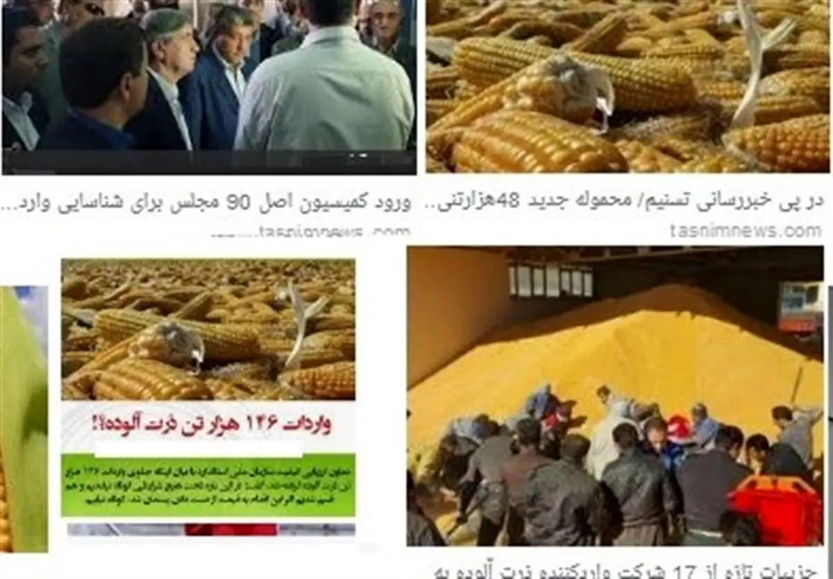 ترخیص ۳۴۰ هزار تن ذرت برزیلی بدون گواهی استاندارد مبدا از "گمرک"