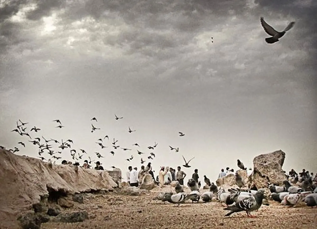 بهشت بقیع ... /عکس