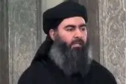 ابو بکر البغدادی فرار کرده است