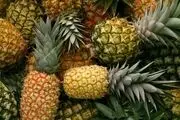 پیش‌بینی تولید چشمگیر آناناس و موز در 10 سال آینده