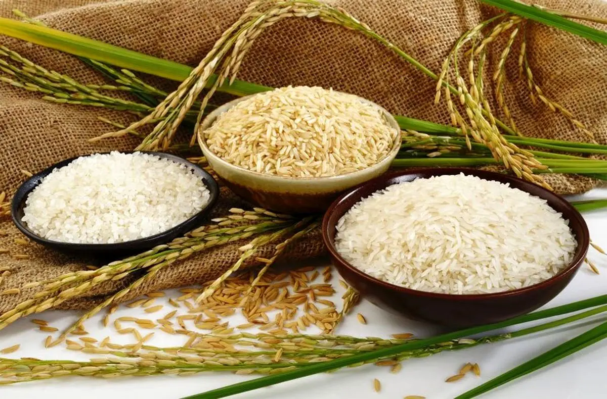 قیمت های جدید برخی از برنج های موجود در بازار