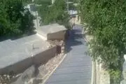 افتتاح طرح هادی روستای «شمشیر» در شهرستان پاوه