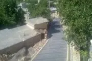 افتتاح طرح هادی روستای «شمشیر» در شهرستان پاوه