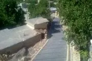 افتتاح طرح هادی روستای «شمشیر» در شهرستان پاوه
