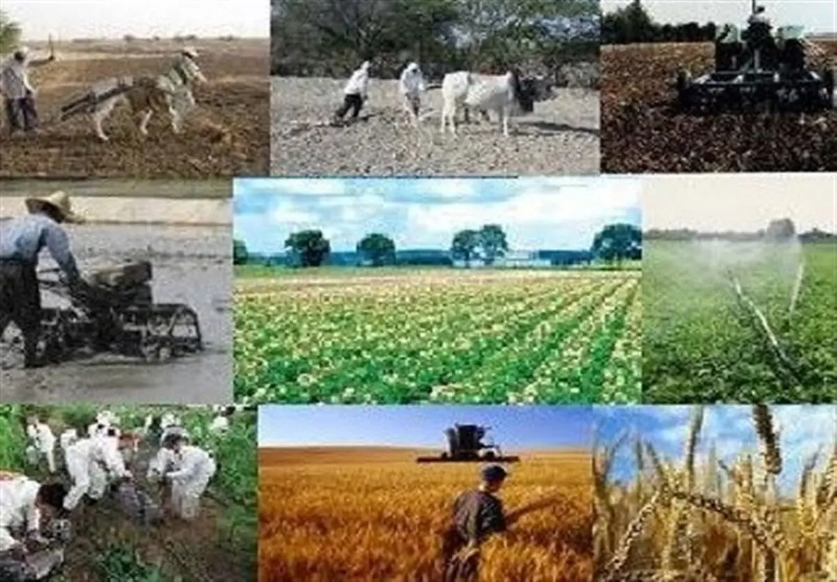 اختلاف آماری ۲۸۰۰ میلیاردی در پرداخت وام اشتغال روستایی