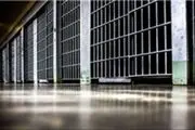 
محکومیت عامل آتش سوزی منطقه حفاظت شده شیمبار
