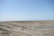 هشدار یک کارشناس محیط زیست نسبت به وضعیت ناگوار تالاب گمیشان