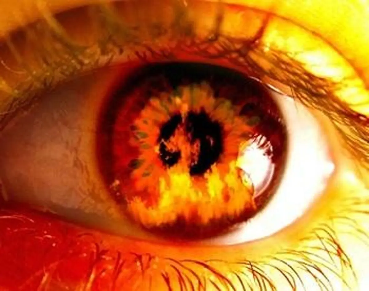 هشدار  امام رضا (ع) درباره پیروی از هوای نفس 