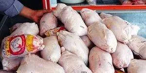 آغاز توزیع روزانه ۱۰۰۰ تن مرغ منجمد با قیمت ۴۵ هزار تومان