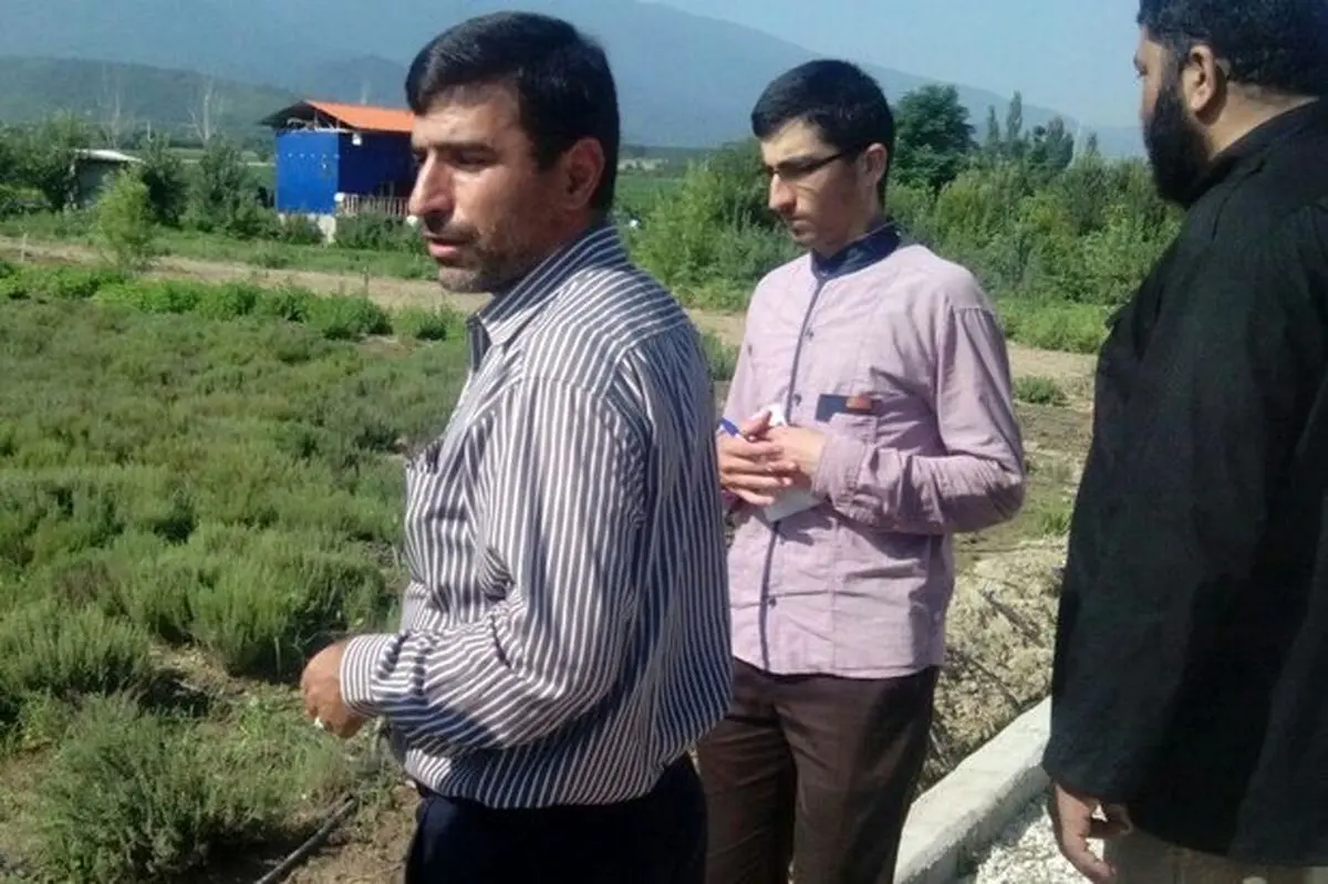 گیاهان دارویی شفا بخش اقتصاد گلستان می شوند