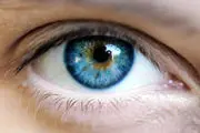 کشف سلولهای بنیادین در چشم