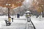 بارش برف پاییزی در شهرکرد/ گزارش تصویری