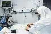 ویروس عامل کووید-۱۹ بین گونه‌ها قابل انتقال است
