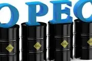 قیمت سبد نفتی اوپک افزایش یافت 