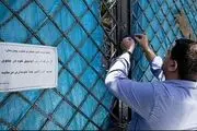 لیسانس ادبیات دارو می‌فروشد!/ فیلم