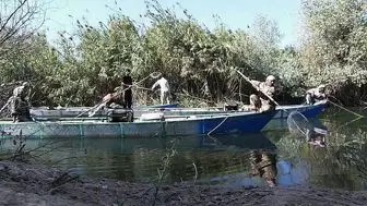 ماهیگیری برقی در جنوب کشور