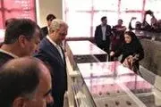 
‌نمی‌توانم تضمین کنم ۱۷ هزار لوح هخامنشی به ایران بازگردد
