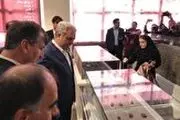 
‌نمی‌توانم تضمین کنم ۱۷ هزار لوح هخامنشی به ایران بازگردد
