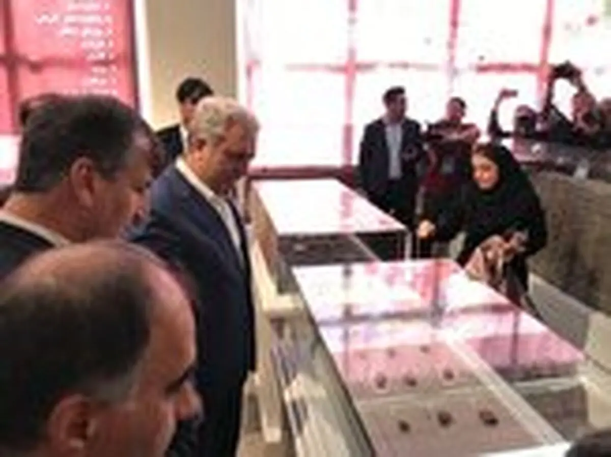 
‌نمی‌توانم تضمین کنم ۱۷ هزار لوح هخامنشی به ایران بازگردد
