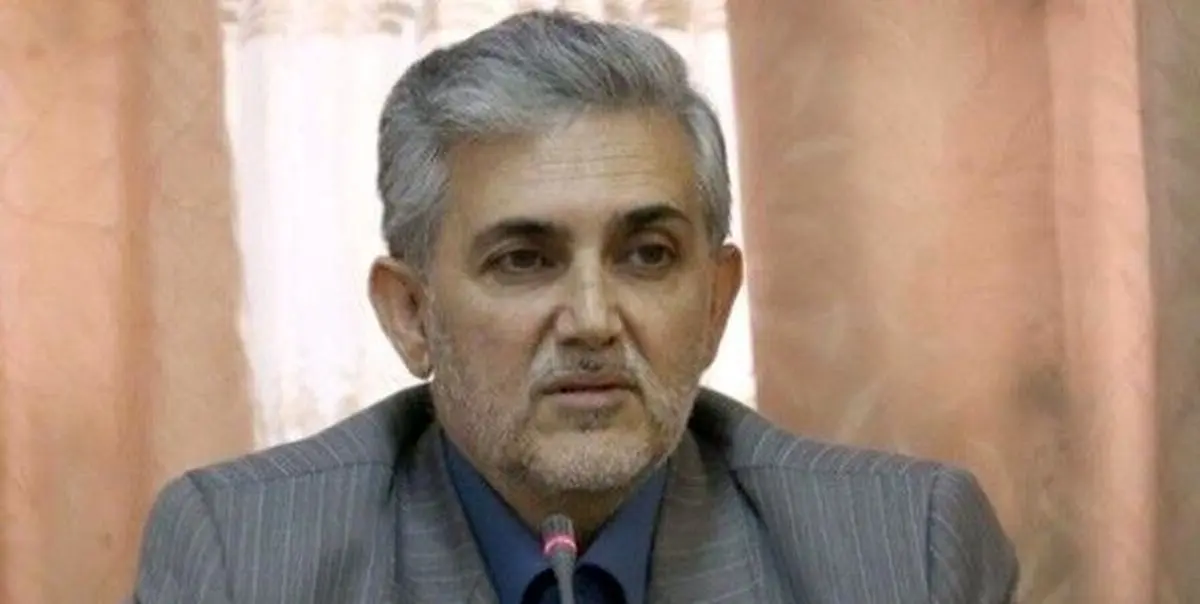 اسماعیلی: مجلس یازدهم مانع اقدامات سلیقهای مسئولان اجرایی شود