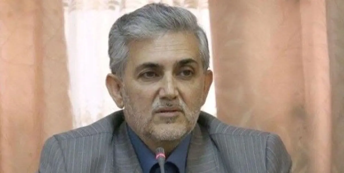اسماعیلی: مجلس یازدهم مانع اقدامات سلیقه‌ای مسئولان اجرایی شود