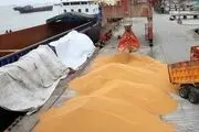 واردات ۲.۷۵ میلیون تن گندم در ۱۰ ماهه امسال
