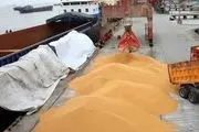 واردات ۲.۷۵ میلیون تن گندم در ۱۰ ماهه امسال