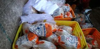 توزیع روزانه ۵۰ تن مرغ منجمد در تهران
