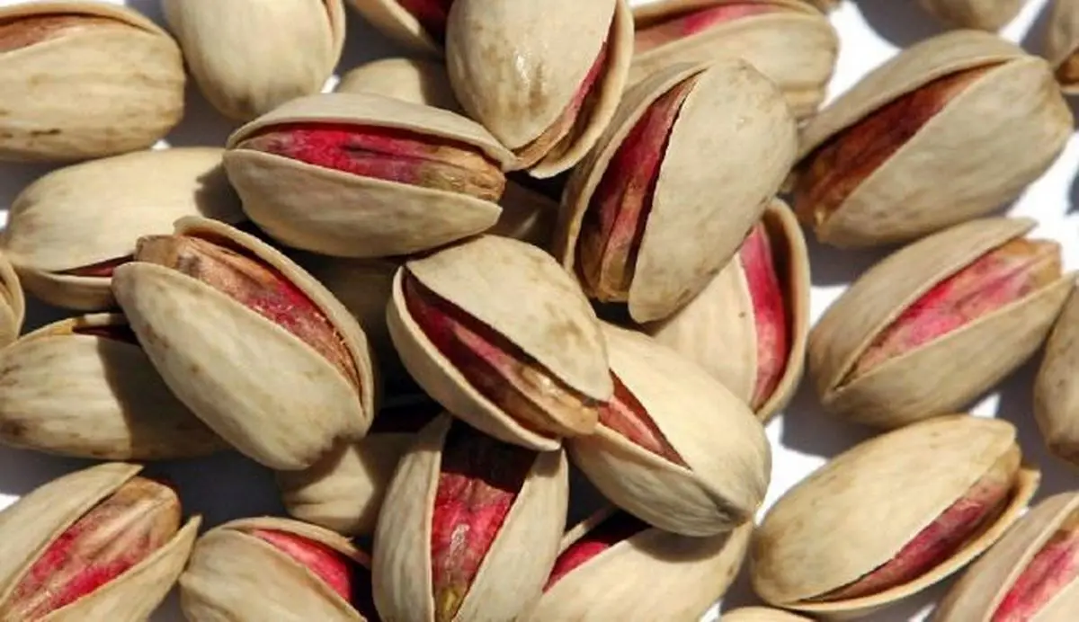 آمریکا رقیب سرسخت صادرات پسته به کشور چین