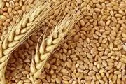نرخ خرید تضمینی گندم در سال 1401