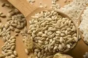 تعاملات تجاری ایران و آمریکا بر سر واردات جو! 