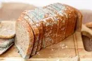 عوارض خوردن کپک و واکنش بعد به این اشتباه