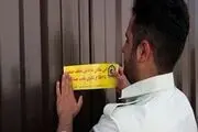3 کانتینر کنسرو غذای سگ و گربه به ارزش 60 میلیارد ریال کشف شد 