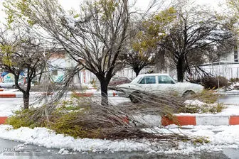 هشدار سریع هواشناسی از بارش برف در استان‌های اردبیل و آذربایجان شرقی
