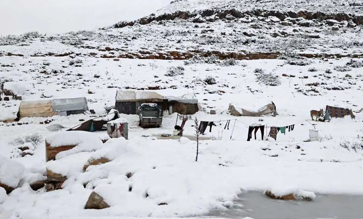 فواید کُرسی در زمستان +اینفوگرافی