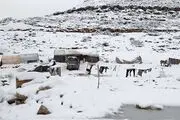 فواید کُرسی در زمستان +اینفوگرافی