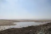 سواحل زیبای « مَکْران »/ عکس