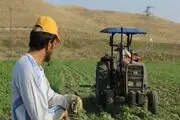 جهاد اقتصادی با زبان روزه