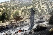 آتش بیار