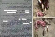عاملین کشتار بی رحمانه ۳ گرگ و ۷ روباه در شبستر محکوم شدند