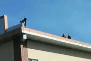 نجات جان جوان آملی در هنگام خودکشی +عکس