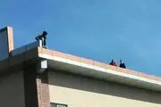 نجات جان جوان آملی در هنگام خودکشی +عکس