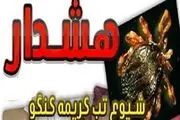 هشدار درباره خطر شیوع تب کریمه کنگو در زاهدان