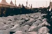 ماموران حادثه جده زندانی نشدند/عربستان هم که برای منا غرامت نداد/وزارت خارجه کاری کند!