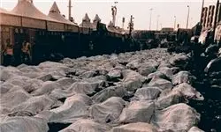 افشای پشت پرده فاجعه منا توسط جشنواره فیلم مقاومت
